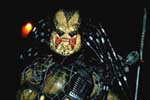 images/Fan Costumes/_thb_Predmaniac 2.jpg